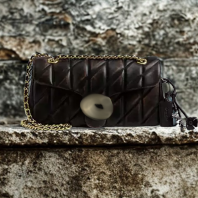 Brown Quilted Pillow Shoulder Bag – Fall & Winter Style