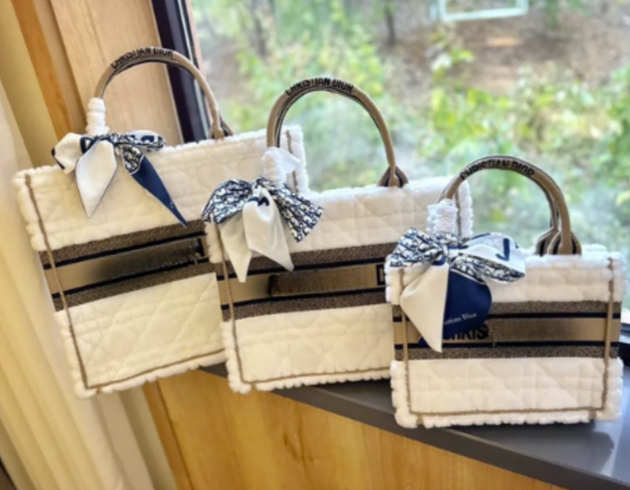 Tan Canvas CD Tote Bag